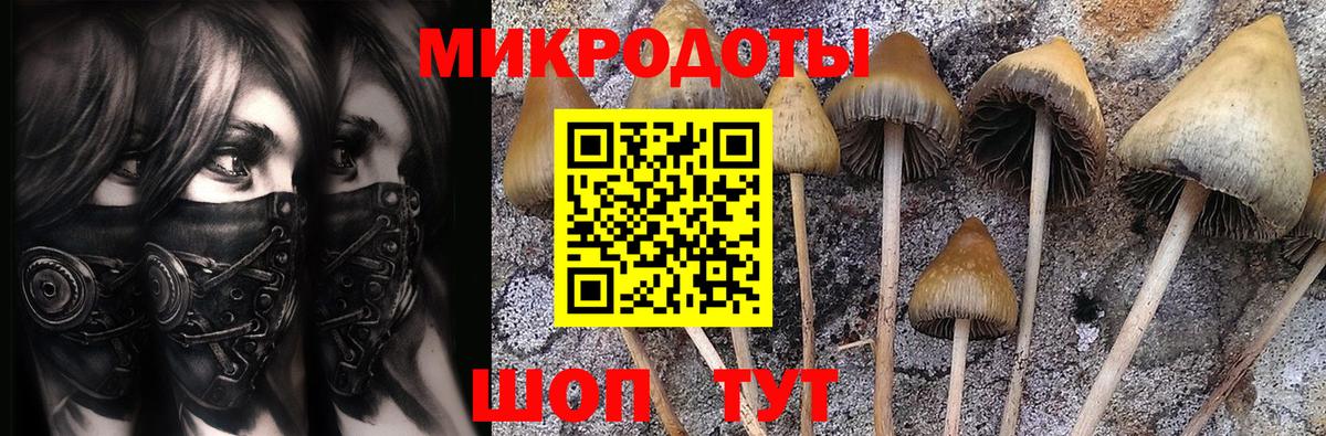 Псилоцибиновые грибы мухоморы  Псилоцибиновые грибы мицелий  Горячий Ключ  Вход с VPN 